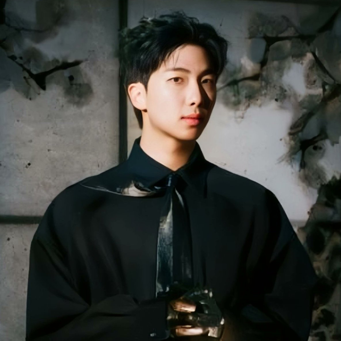 RM (防弹少年团)粉丝拍下的瞬间