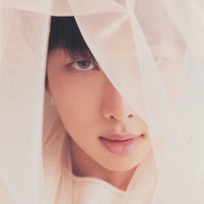 Behind-the-scenes cut of RM (BTS)
