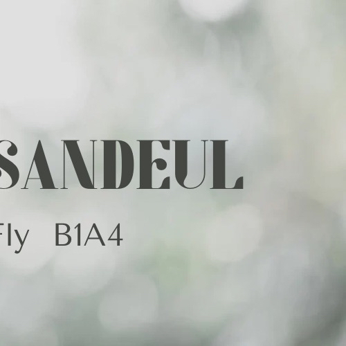 Recent activity shot of Sandeul (B1A4)