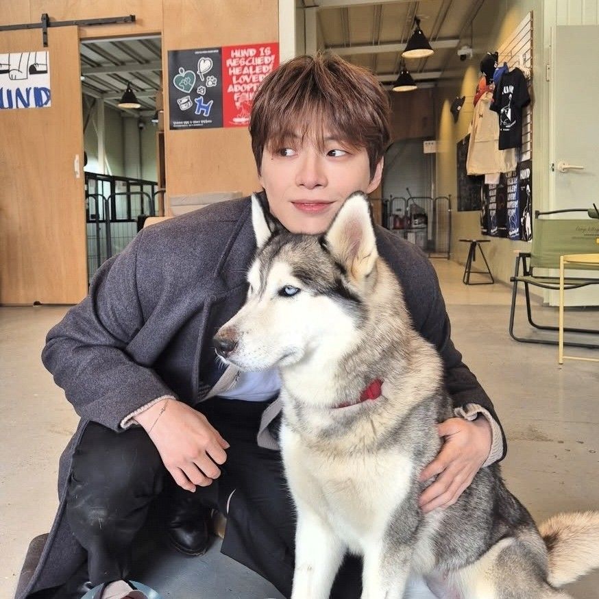 Latest photo of Kang Daniel