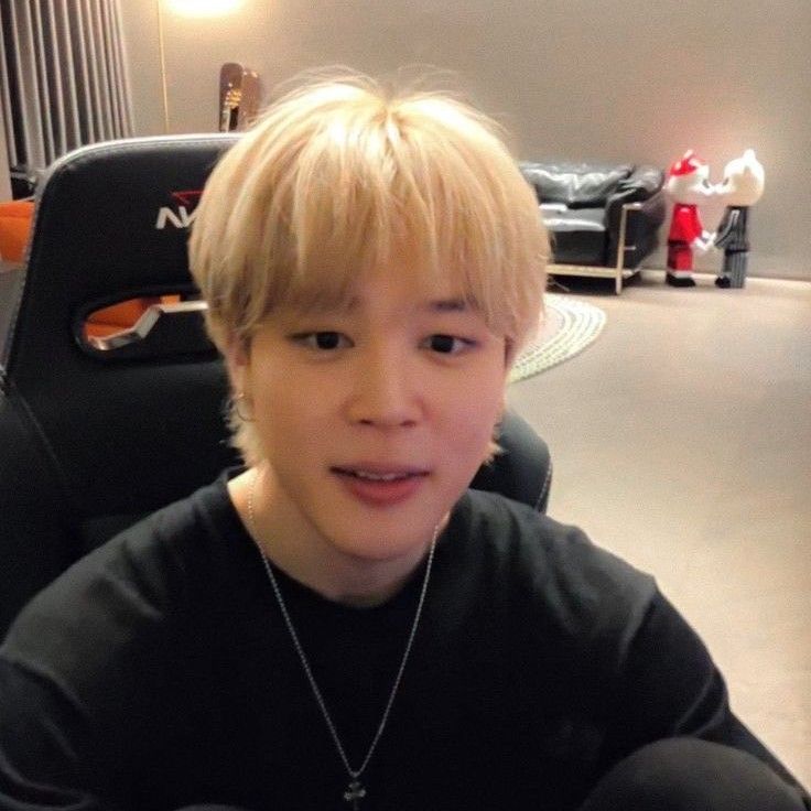 지민 (방탄소년단) 팬이 찍은 순간