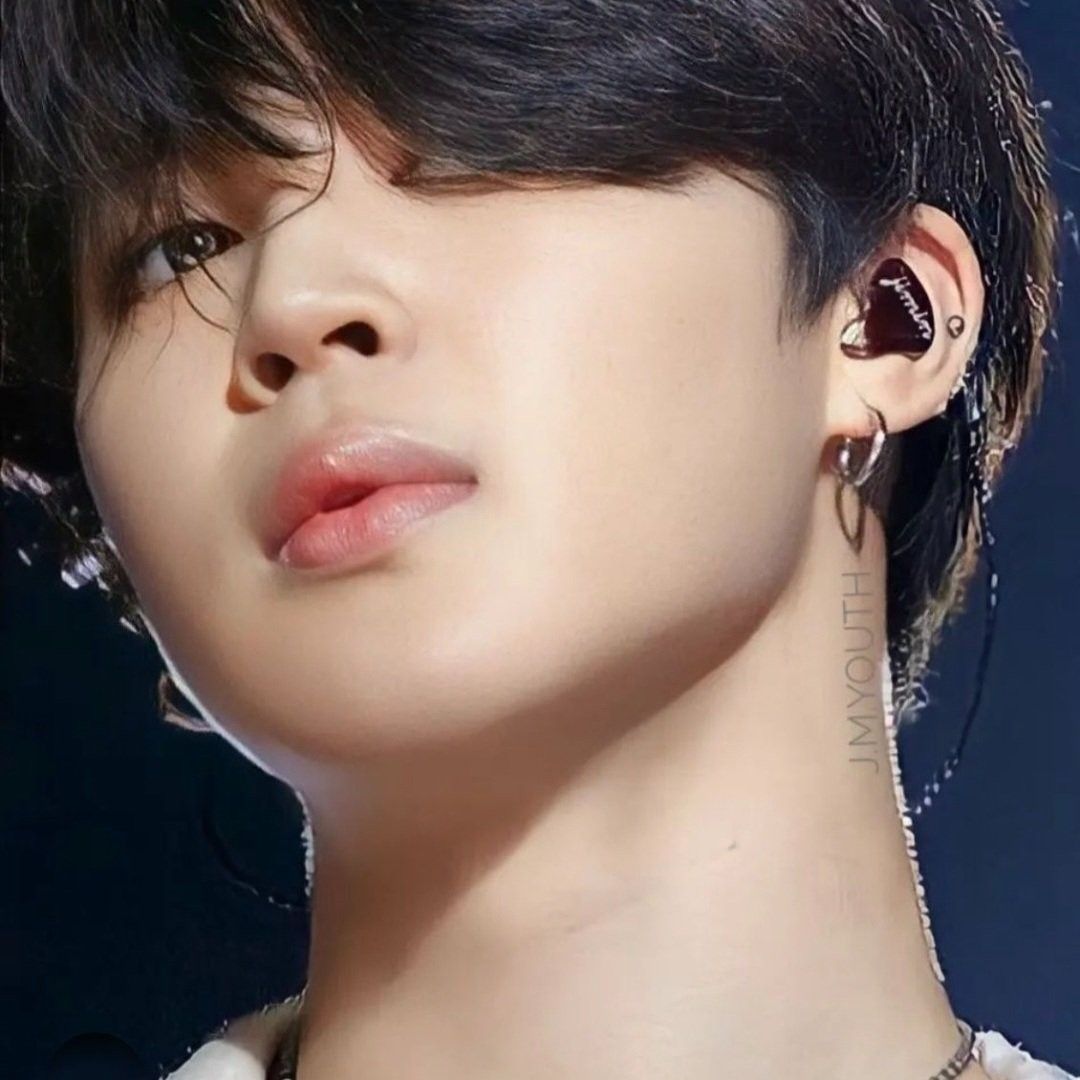 A moment captured by Jimin (BTS)'s fan