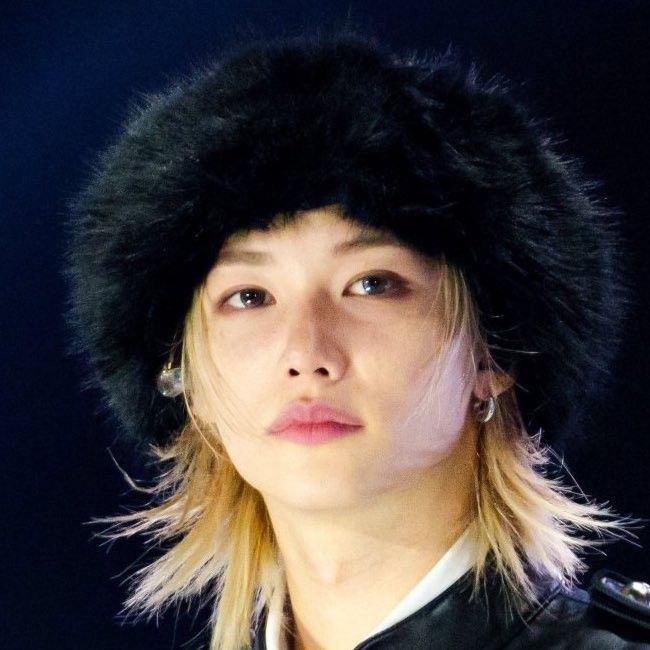 Felix (Stray Kids)的最新活動照片