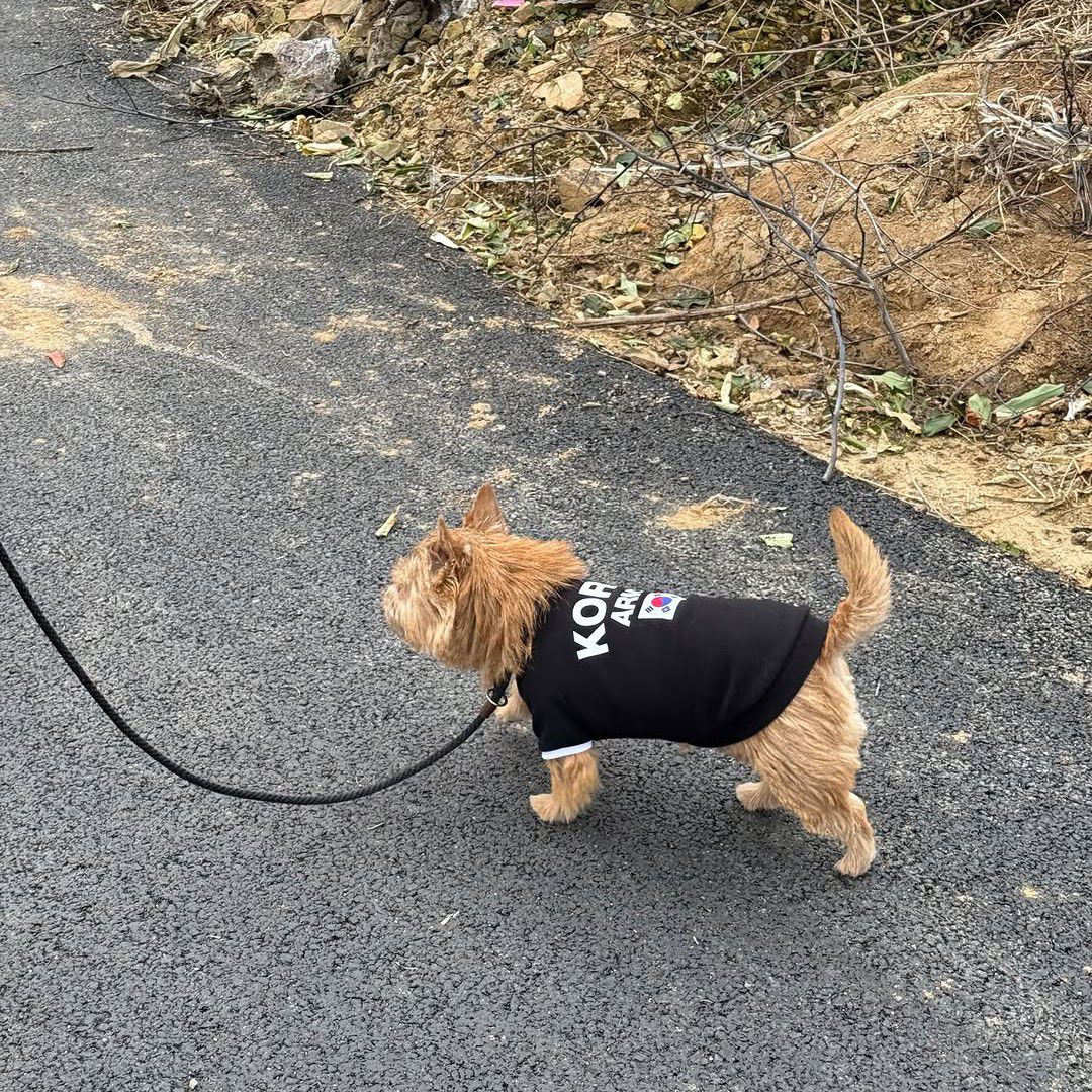 SEVENTEEN的最新照片