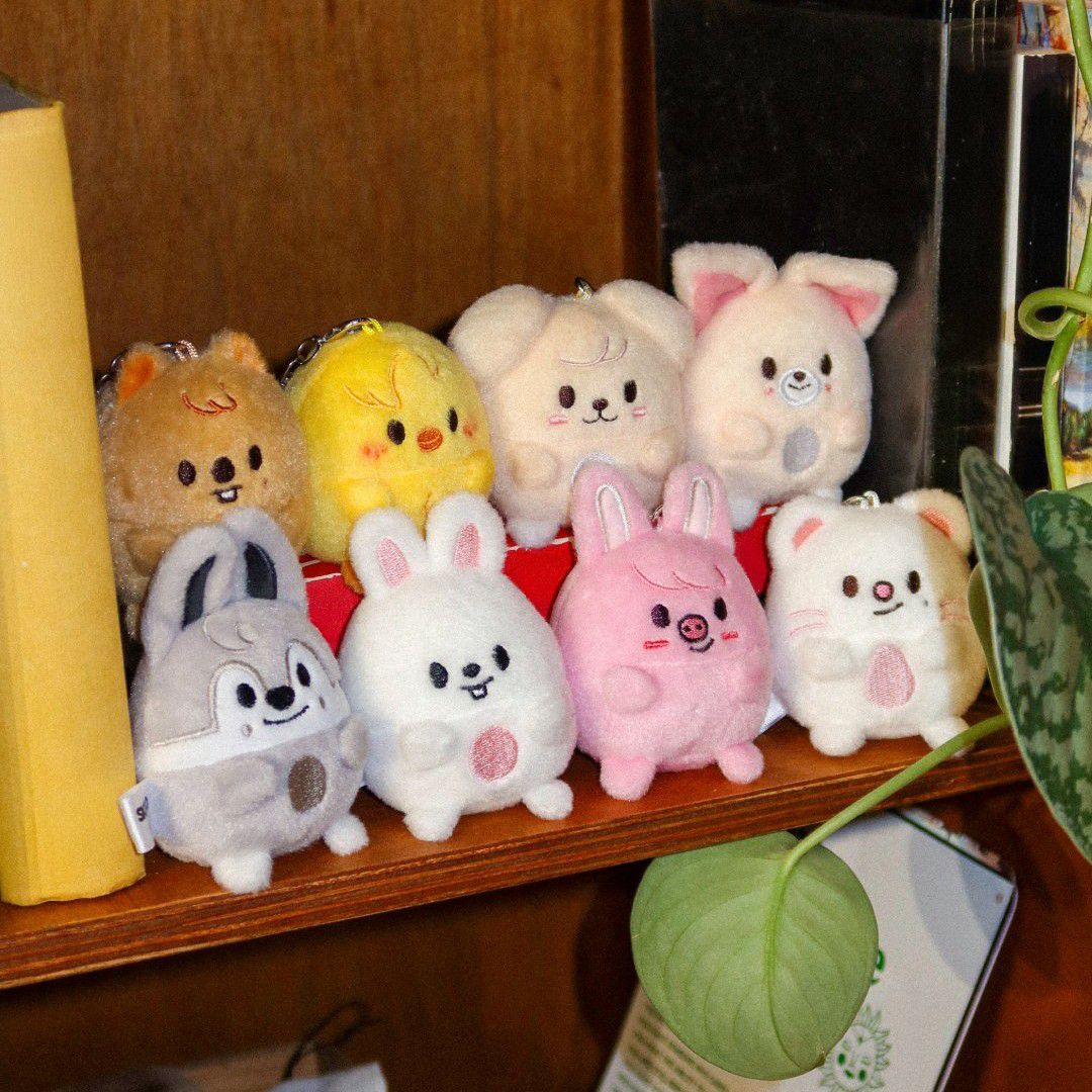 Stray Kids 팬이 찍은 순간