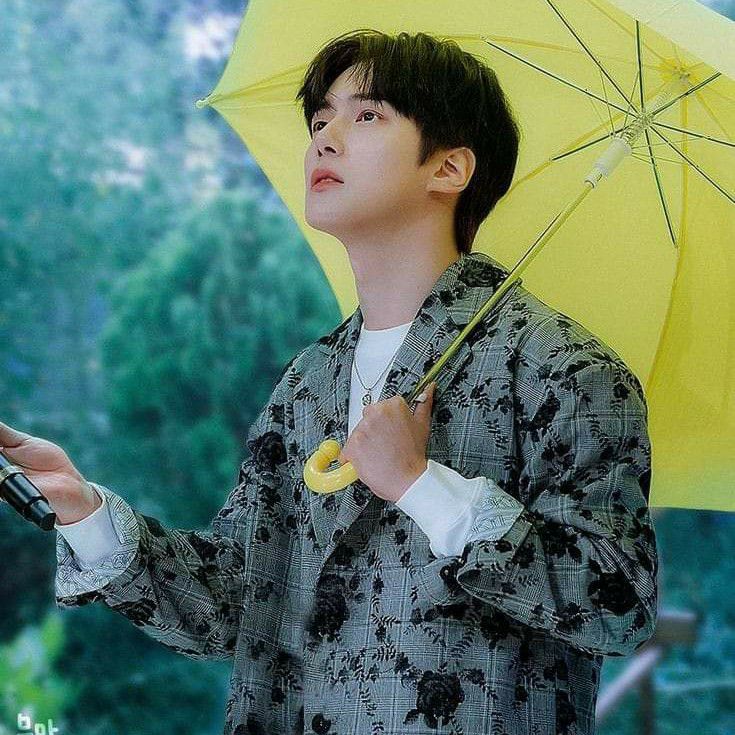 몬스타엑스의 최신 사진