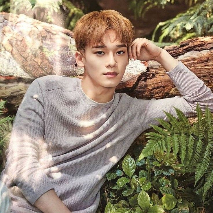 A moment captured by Chen (EXO)'s fan