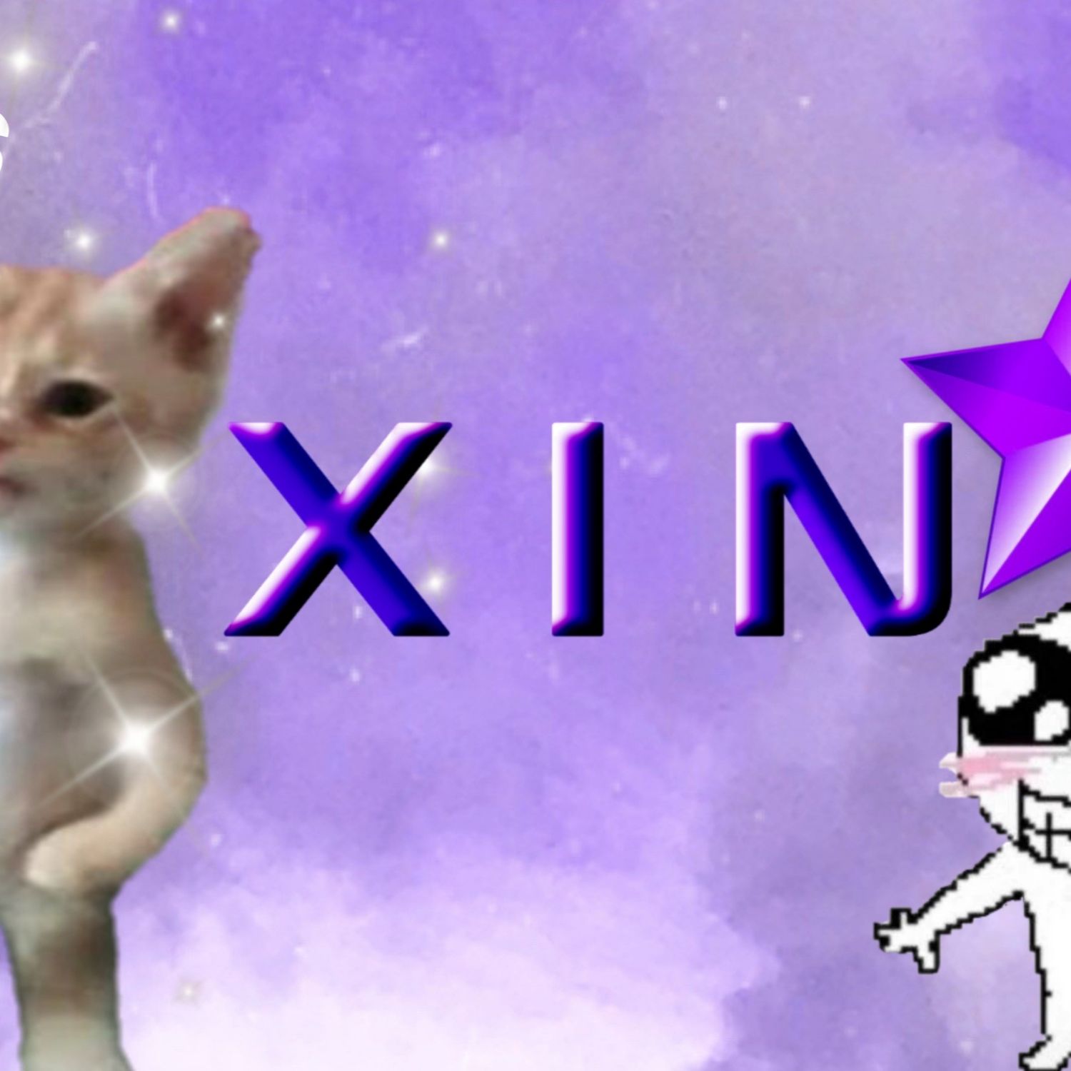 Recent activity shot of Xin Che (POLARIX)