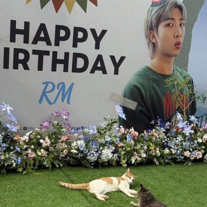 Latest photo of RM (BTS)