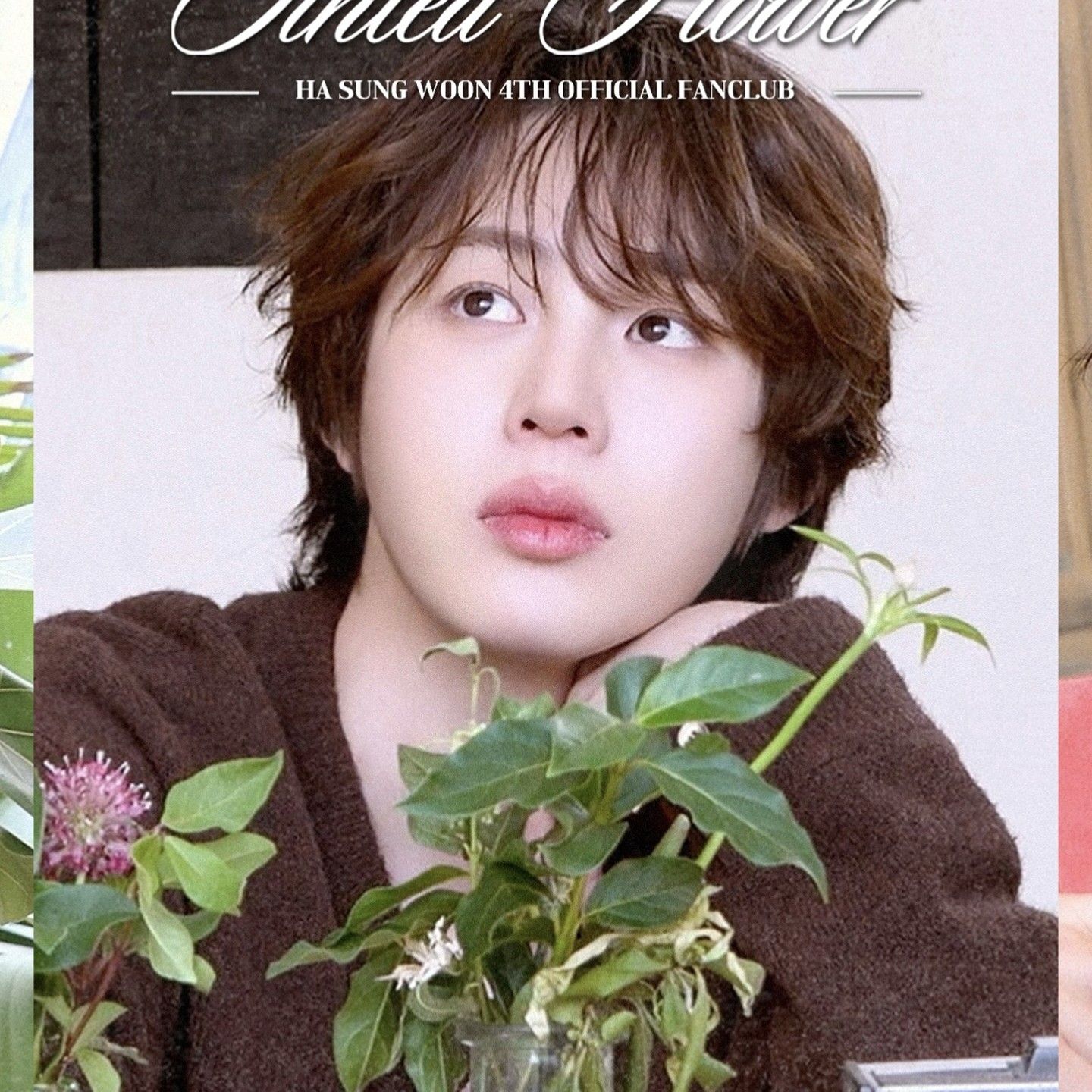 Behind-the-scenes cut of Ha Sungwoon