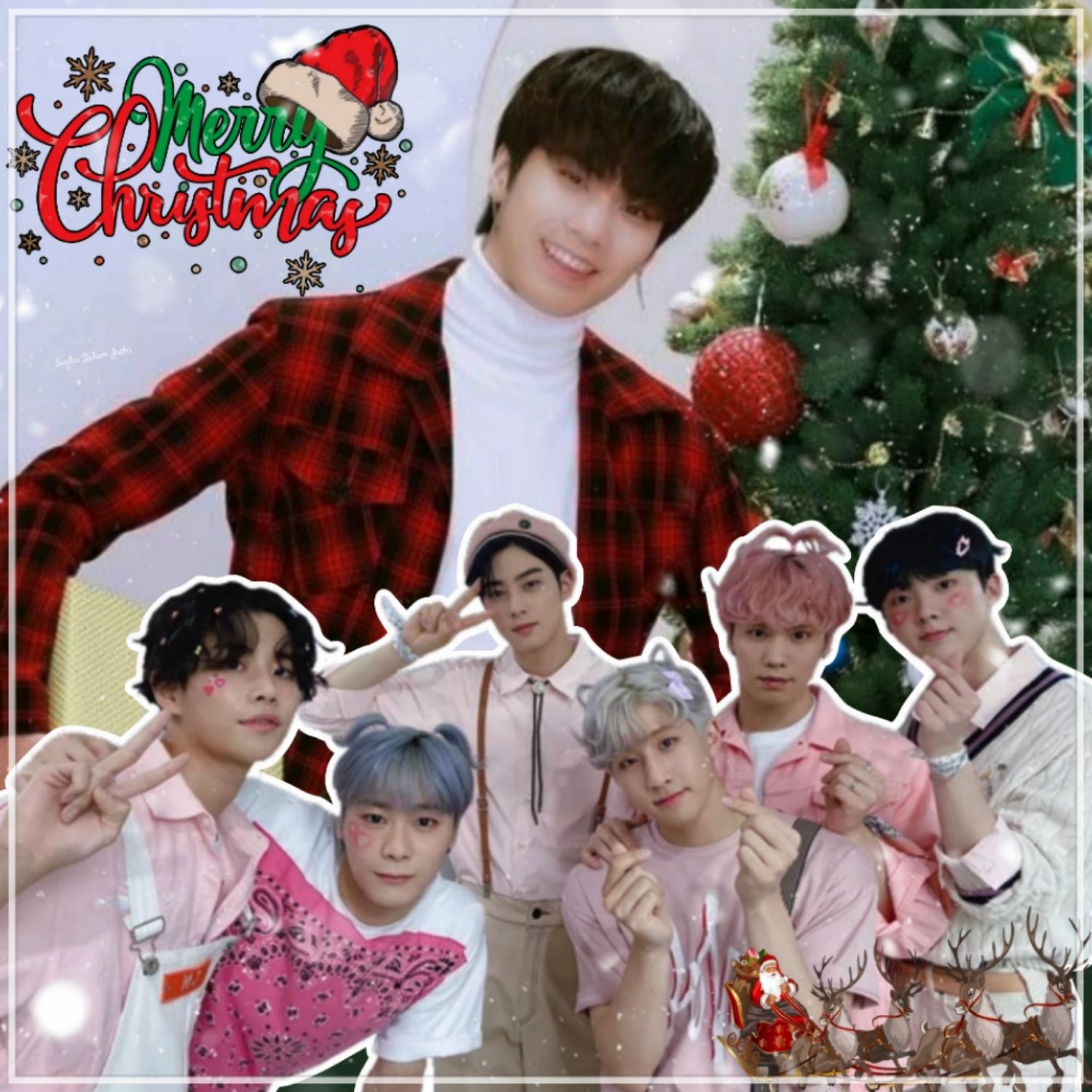 Recent activity shot of Rocky