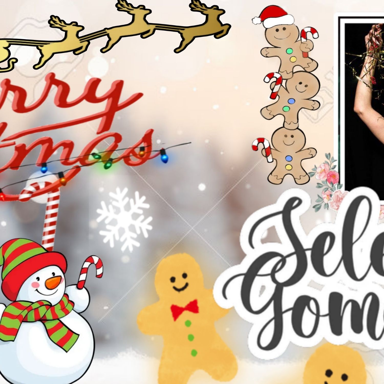 A moment captured by Selena Gomez's fan