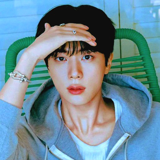 진 (방탄소년단) 팬이 찍은 순간