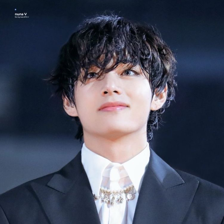 V (BTS)ファンが撮った瞬間