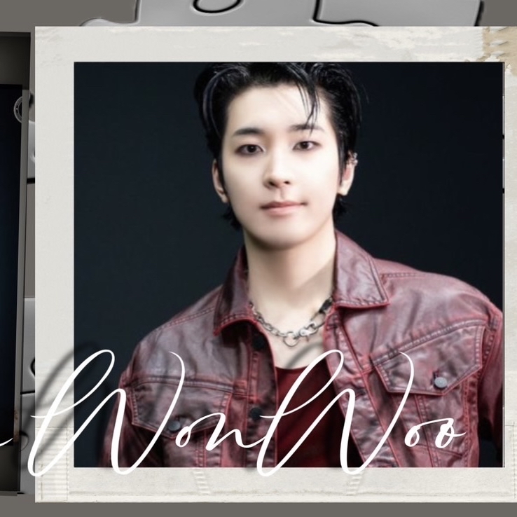 Recent activity shot of Wonwoo (SEVENTEEN)
