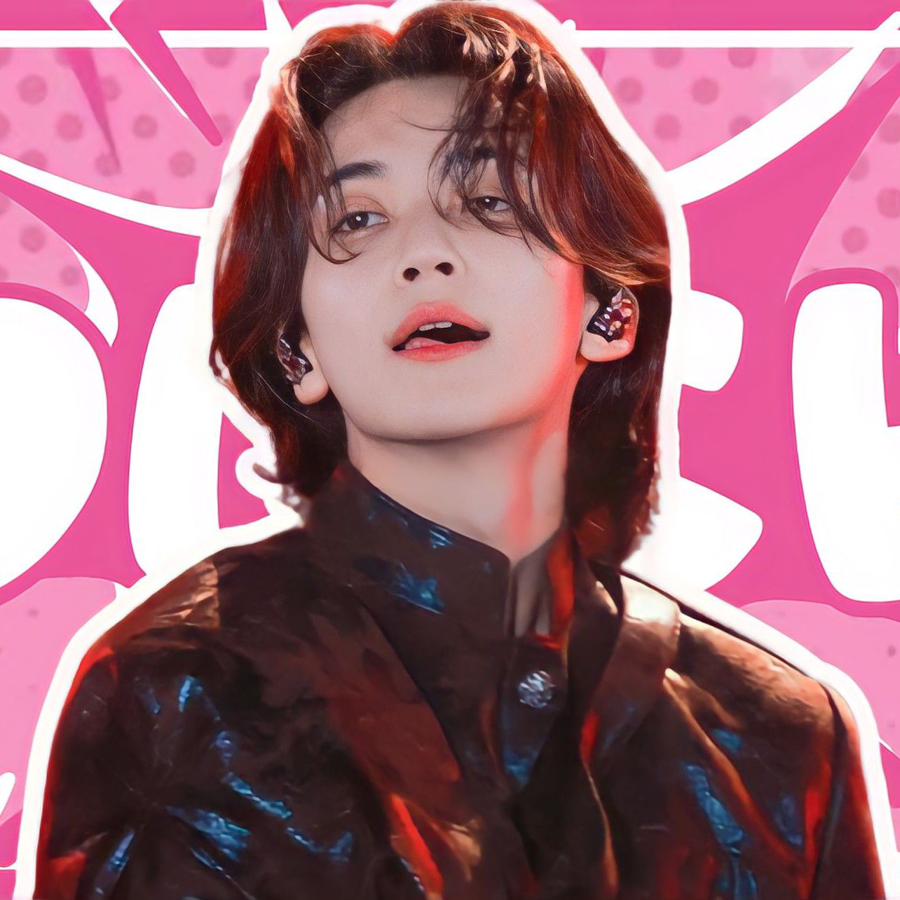 세븐틴 팬이 찍은 순간