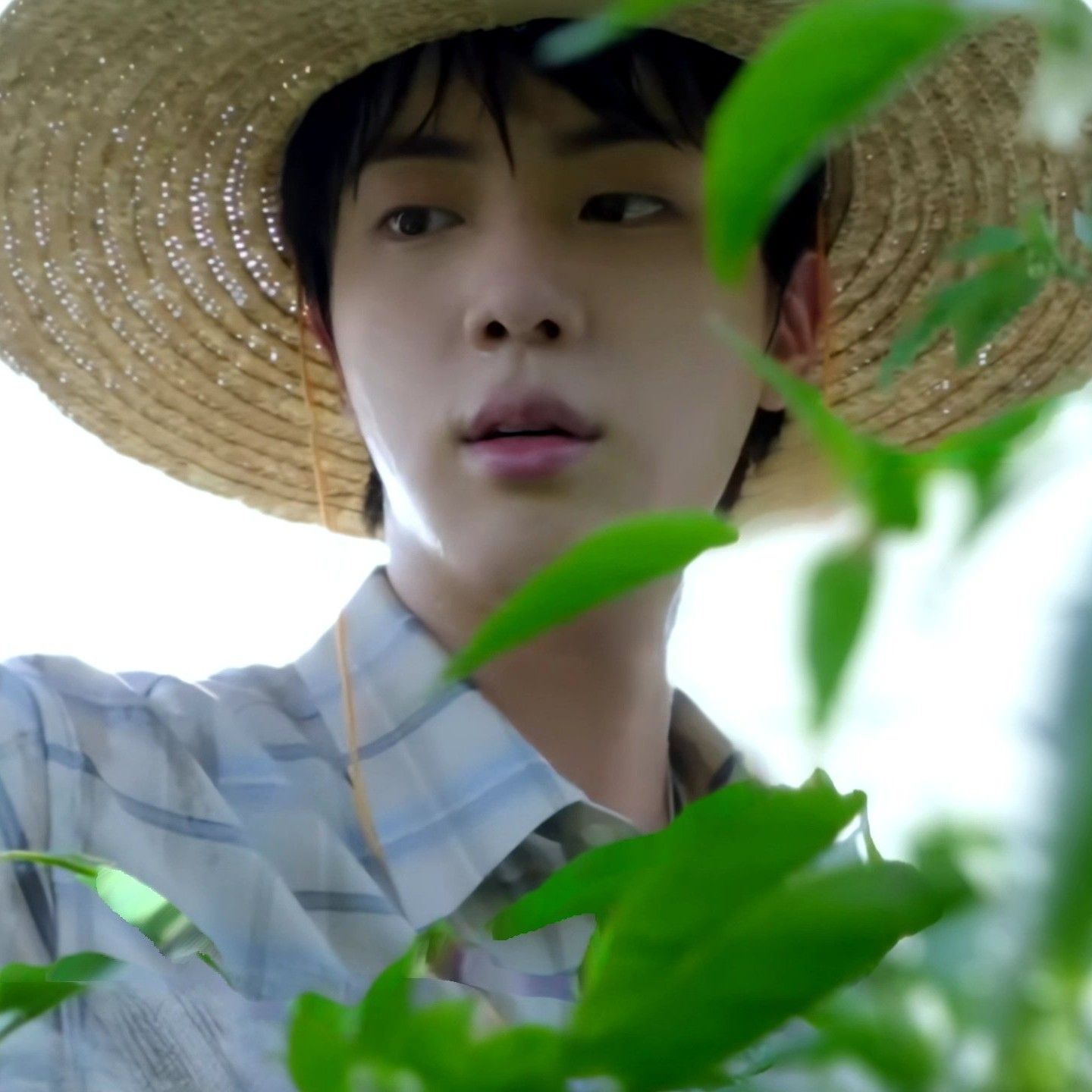 A moment captured by Jin (BTS)'s fan