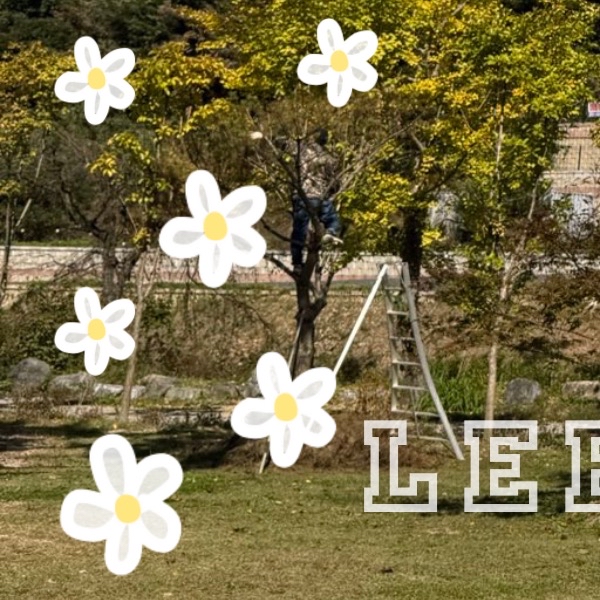 A moment captured by Minhyuk (MONSTA X)'s fan