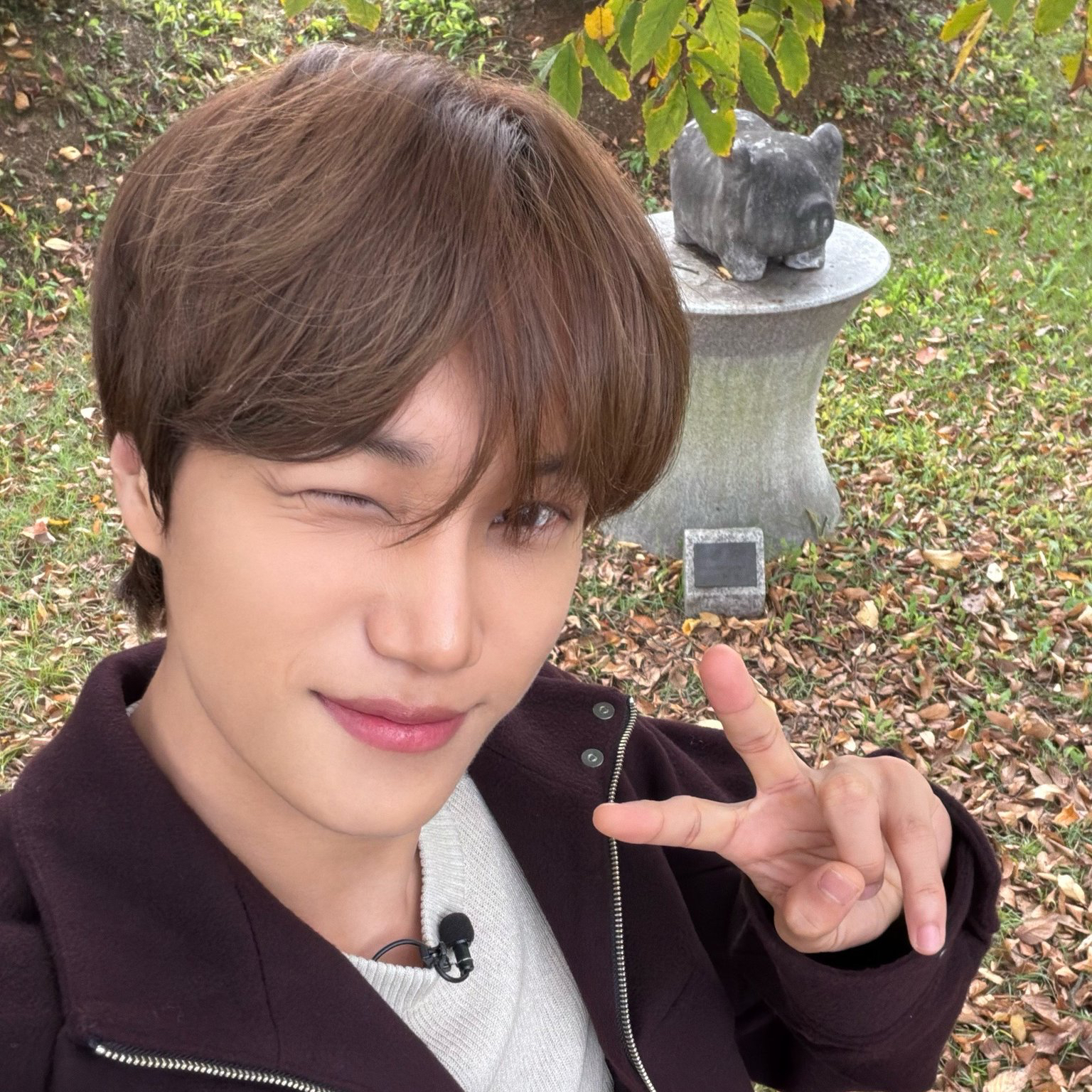 Kai (EXO)粉絲拍下的瞬間