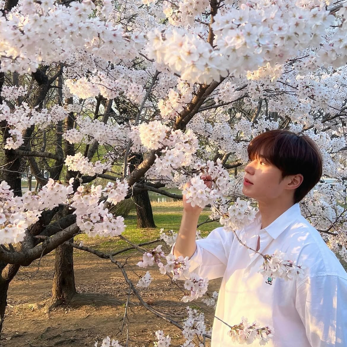 Recent activity shot of Kim Junseo (ALPHA DRIVE ONE)