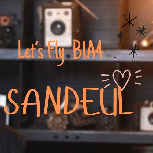 A moment captured by Sandeul (B1A4)'s fan