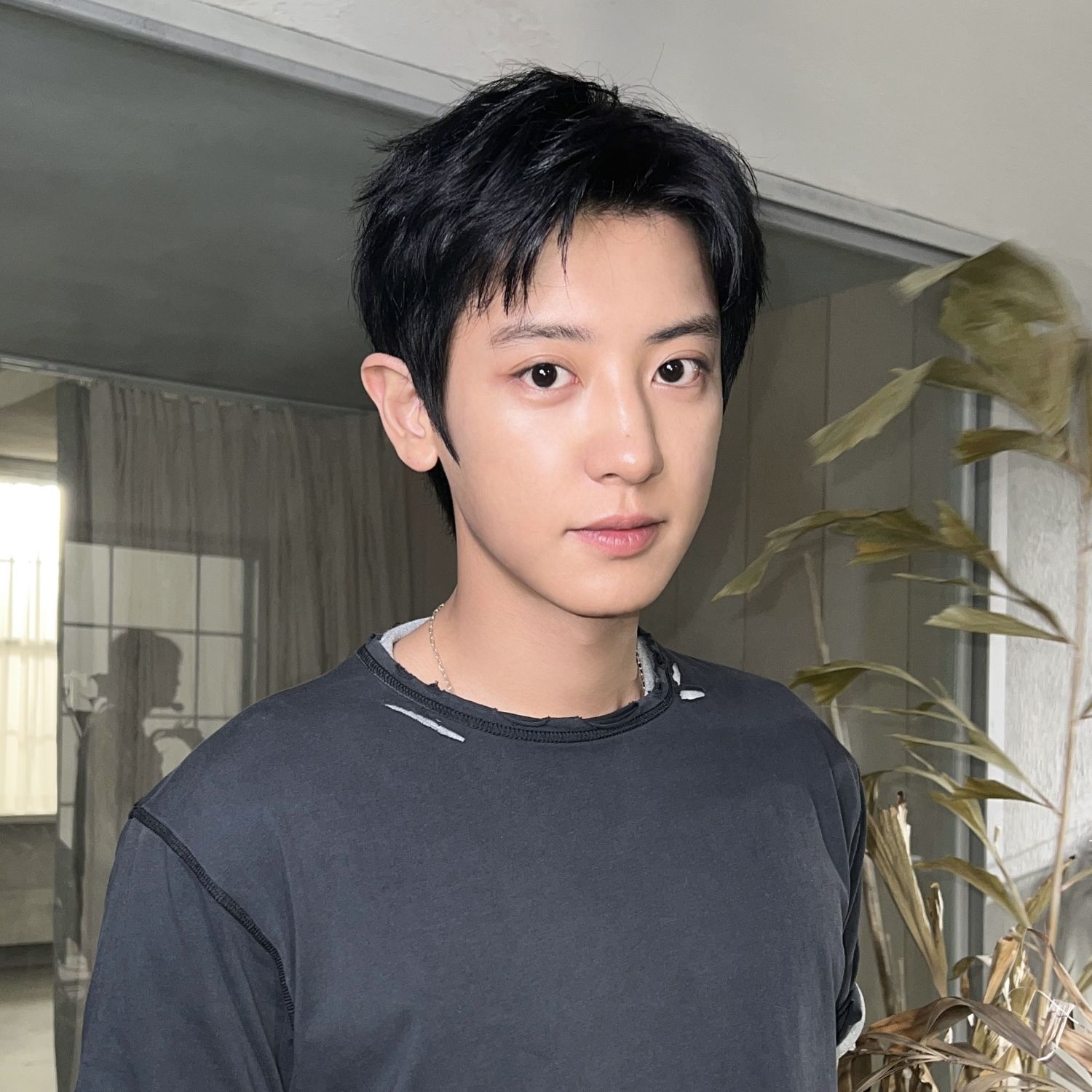 燦烈 (EXO)的最新照片