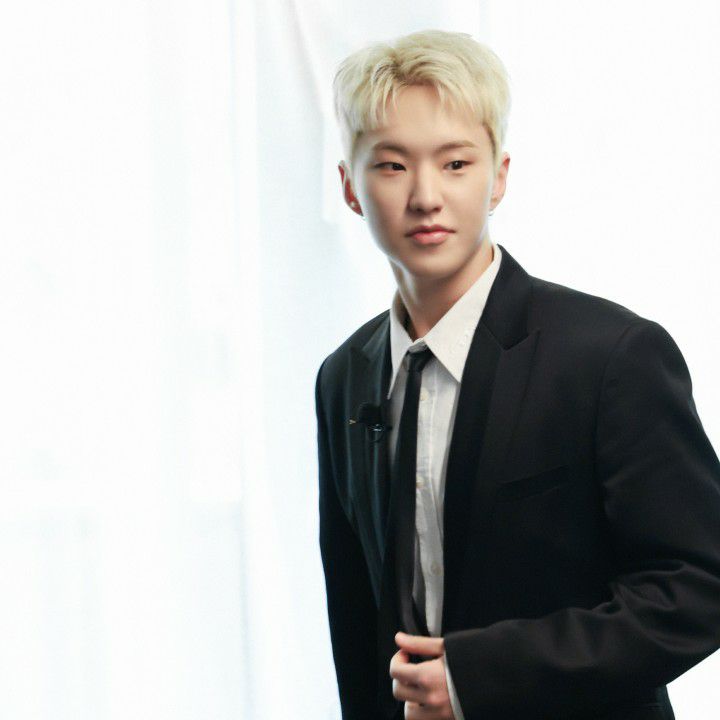 A moment captured by Hoshi (SEVENTEEN)'s fan