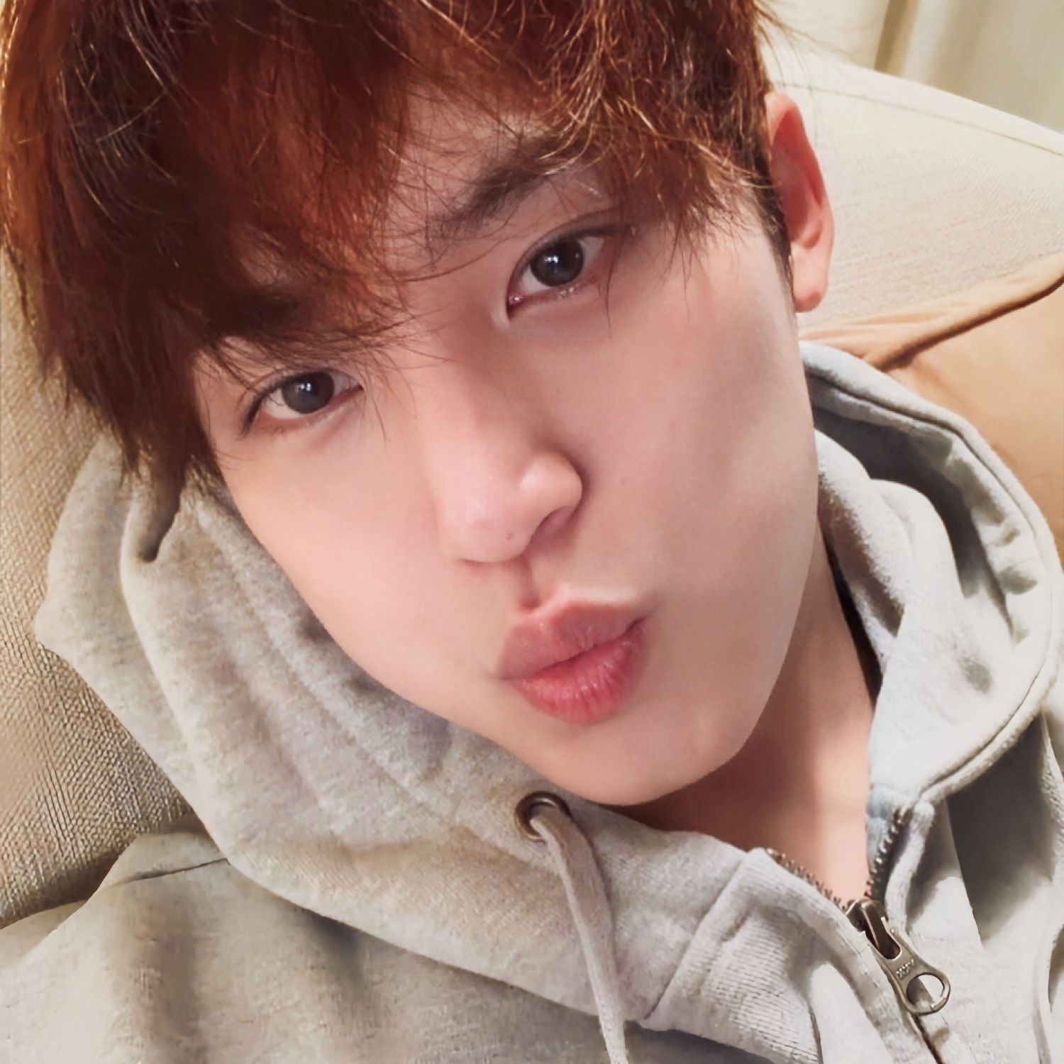 Momen yang diabadikan oleh penggemar SEVENTEEN