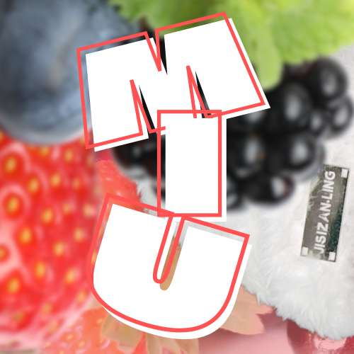 A moment captured by Sakurai Miu (ME:I)'s fan