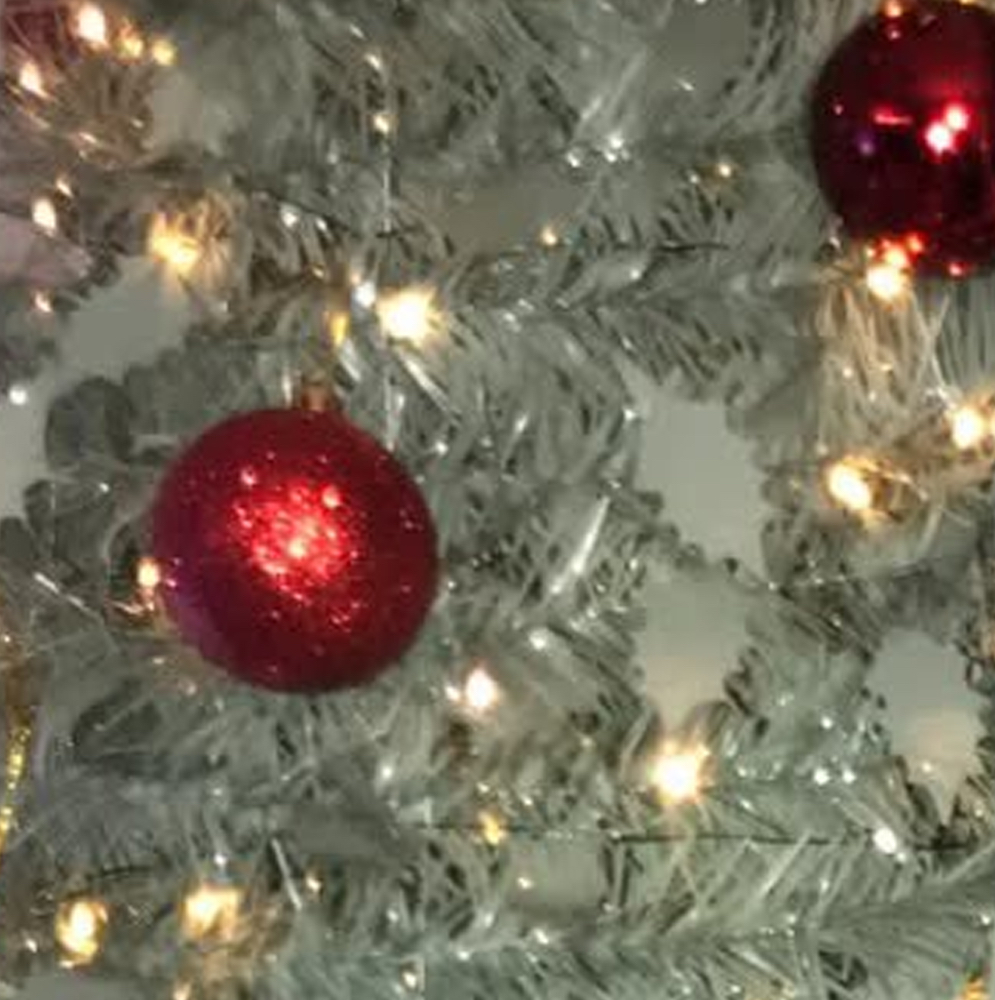 Go Won (Loossemble)的幕後花絮