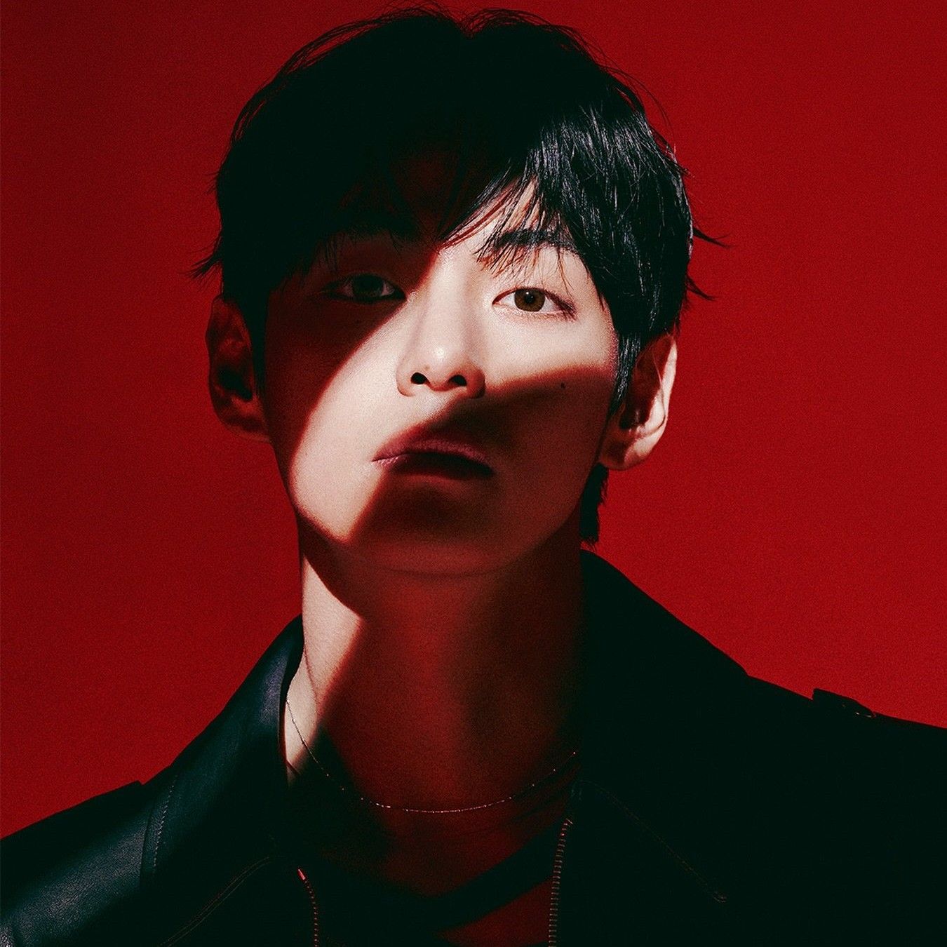 V (BTS)ファンが撮った瞬間