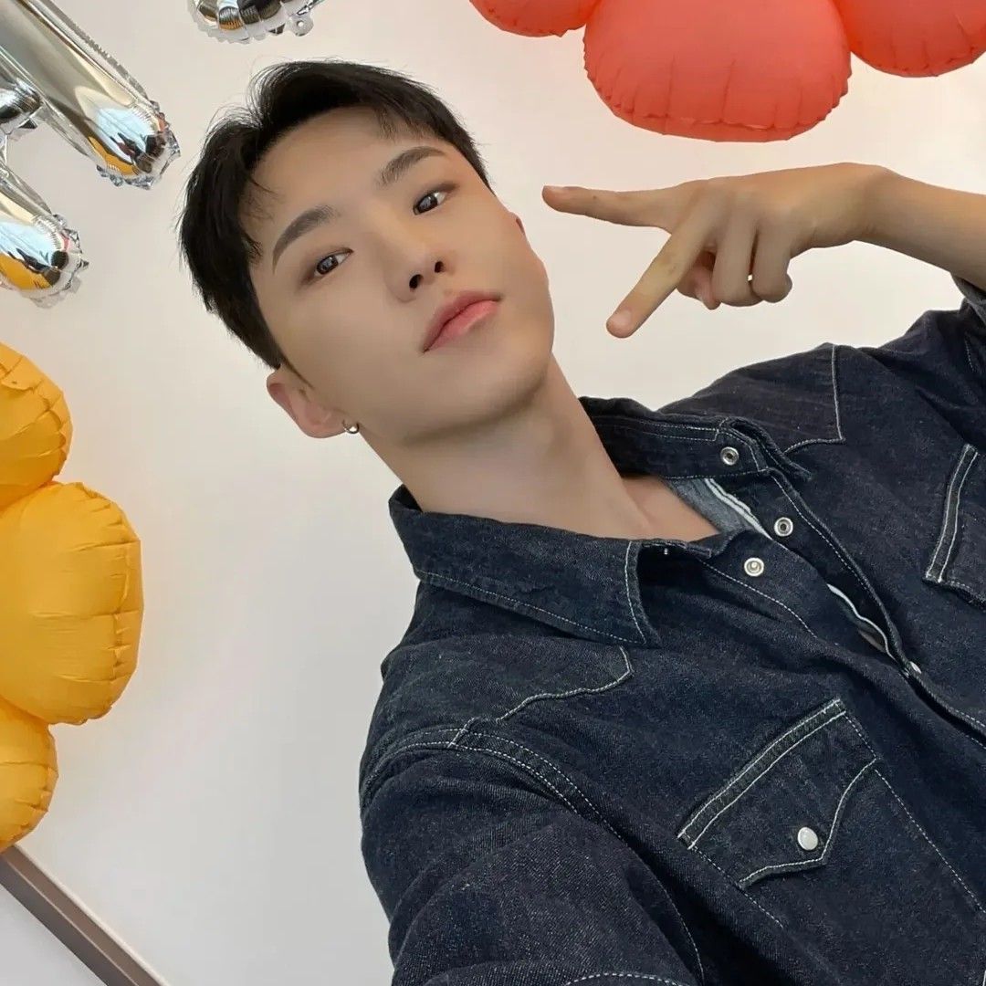 Hoshi (SEVENTEEN)粉絲拍下的瞬間