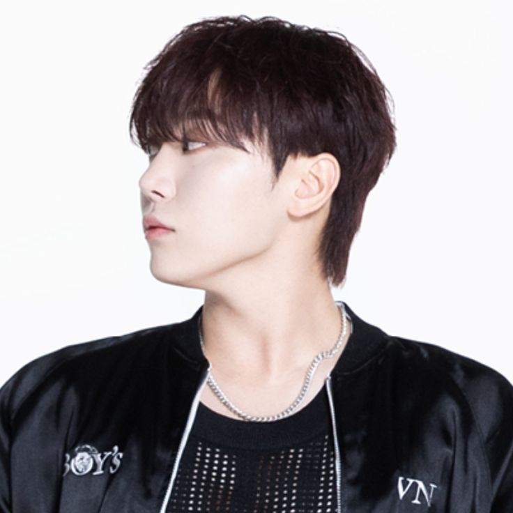 승관 (세븐틴) 팬이 찍은 순간