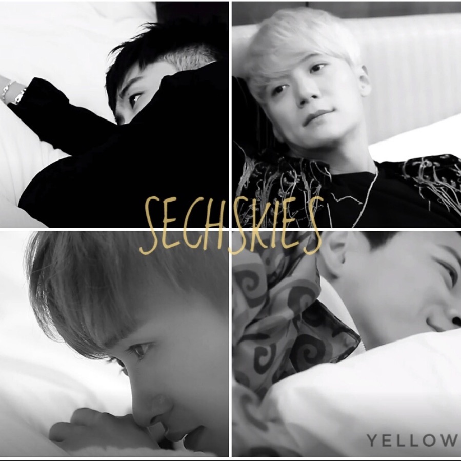 A moment captured by SECHSKIES's fan