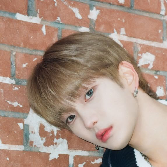 峻赫 (n.SSign)的幕后花絮