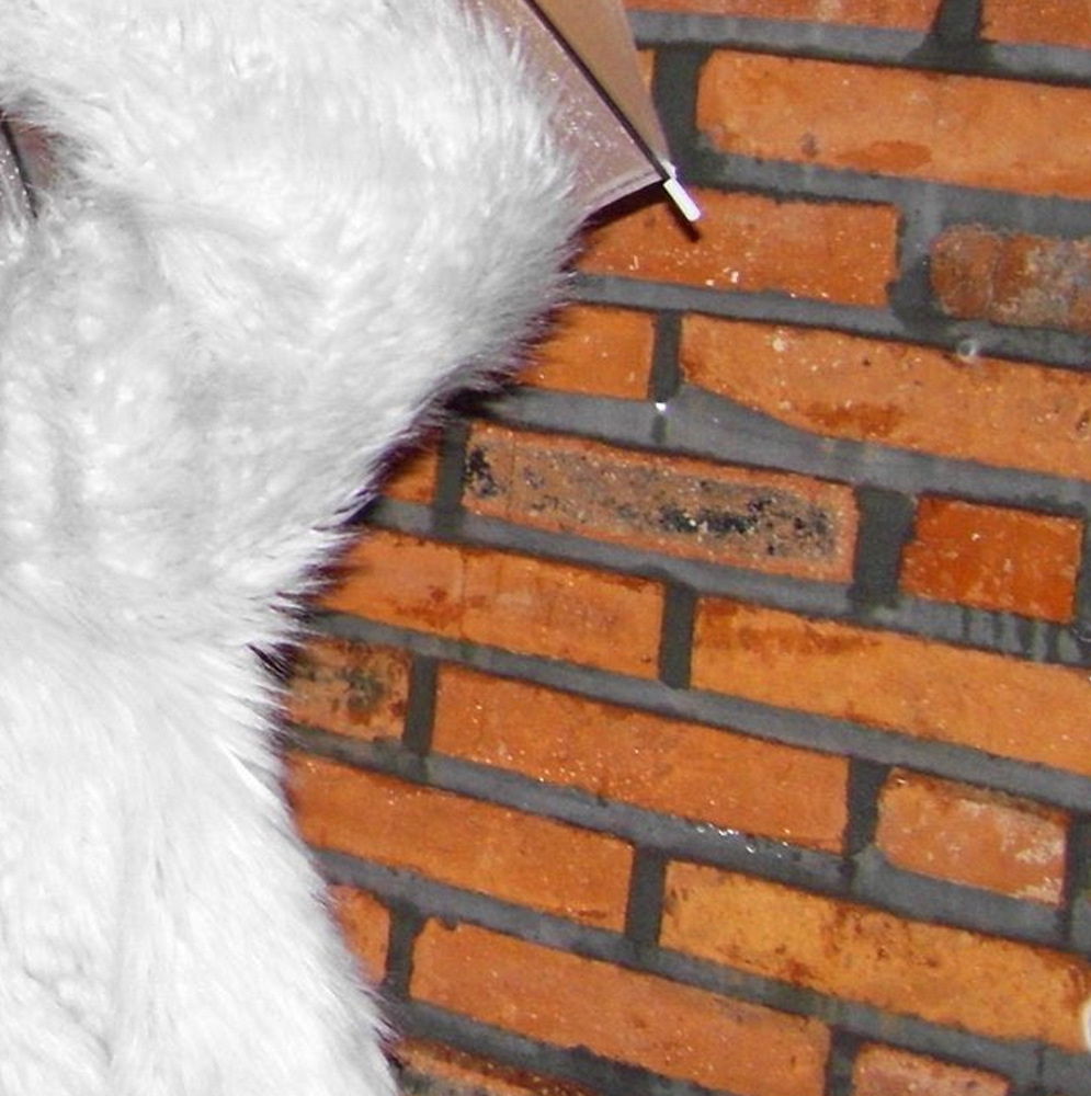 Latest photo of Choerry (ARTMS)