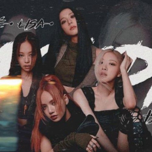 BLACKPINK的最新活動照片