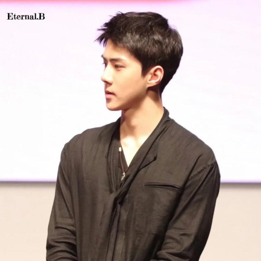 世勳 (EXO)的幕後花絮