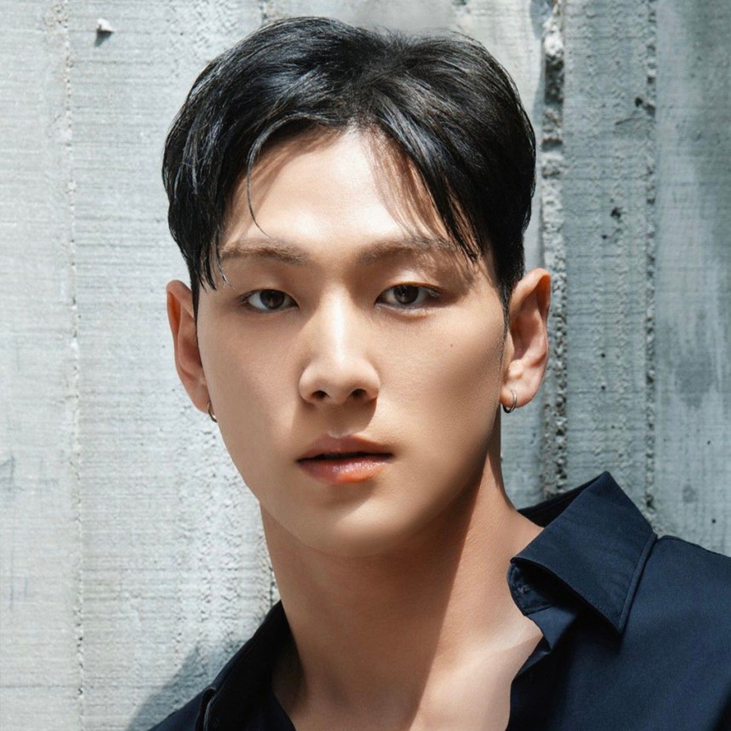 ベクホファンが撮った瞬間