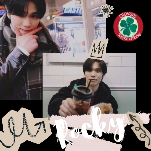 Recent activity shot of Rocky