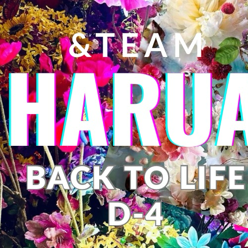 A moment captured by Harua (&TEAM)'s fan