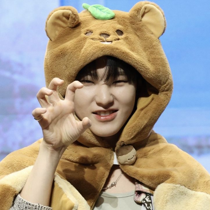 세븐틴 팬이 찍은 순간