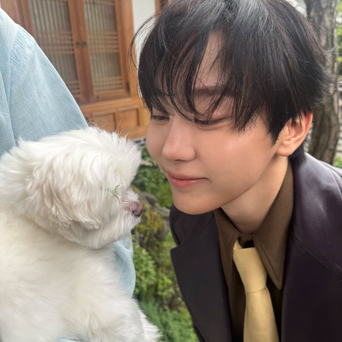 세븐틴의 최신 사진