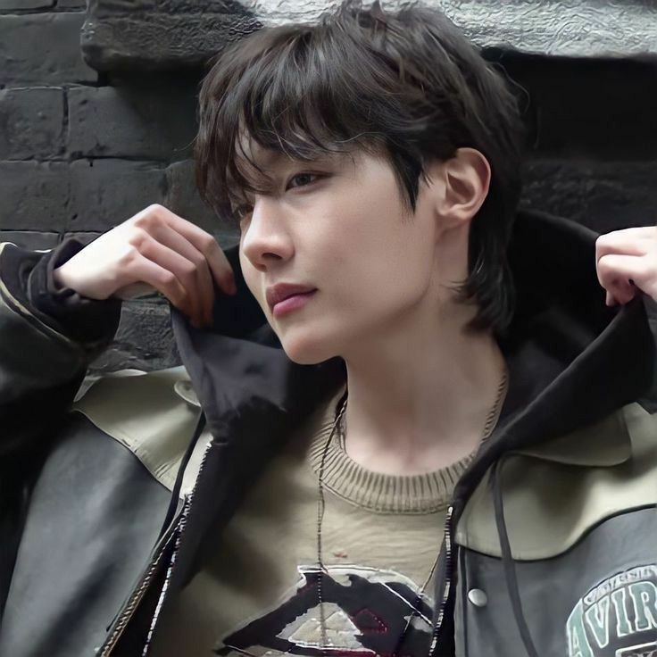 제이홉 (방탄소년단) 팬이 찍은 순간