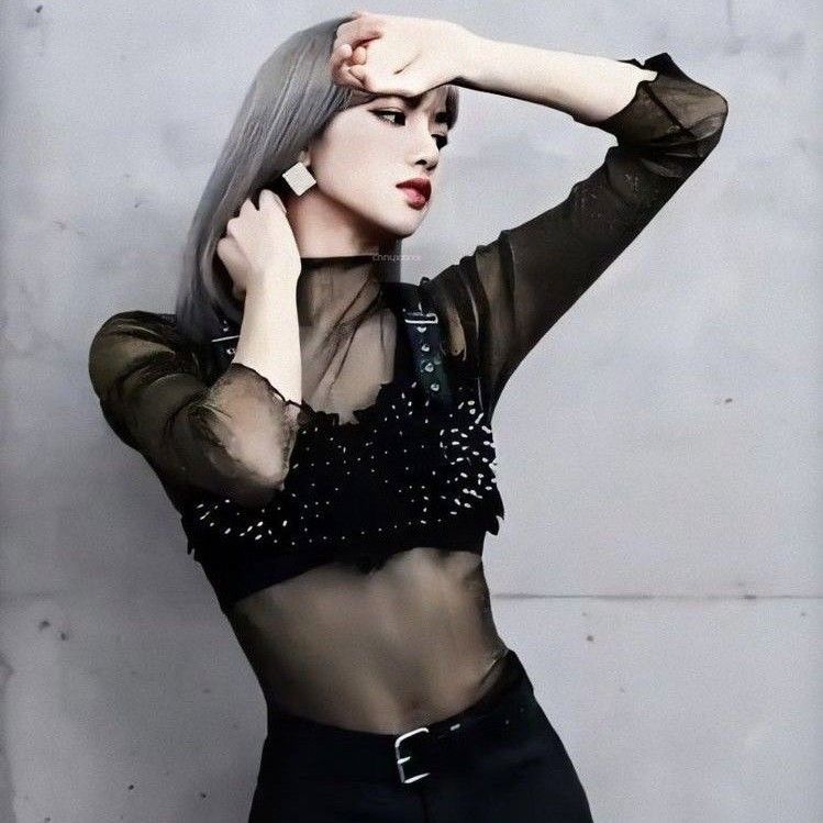 Recent activity shot of Lisa (BLACKPINK)