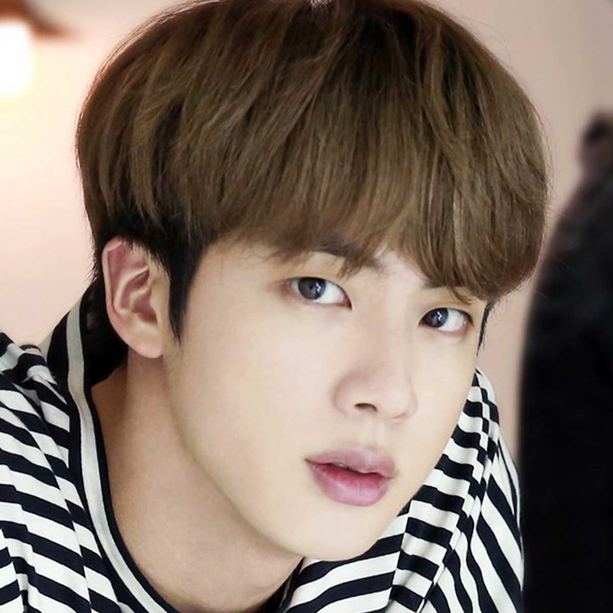 진 (방탄소년단) 팬이 찍은 순간