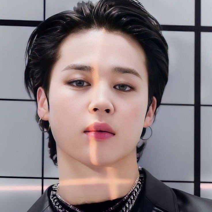 A moment captured by Jimin (BTS)'s fan