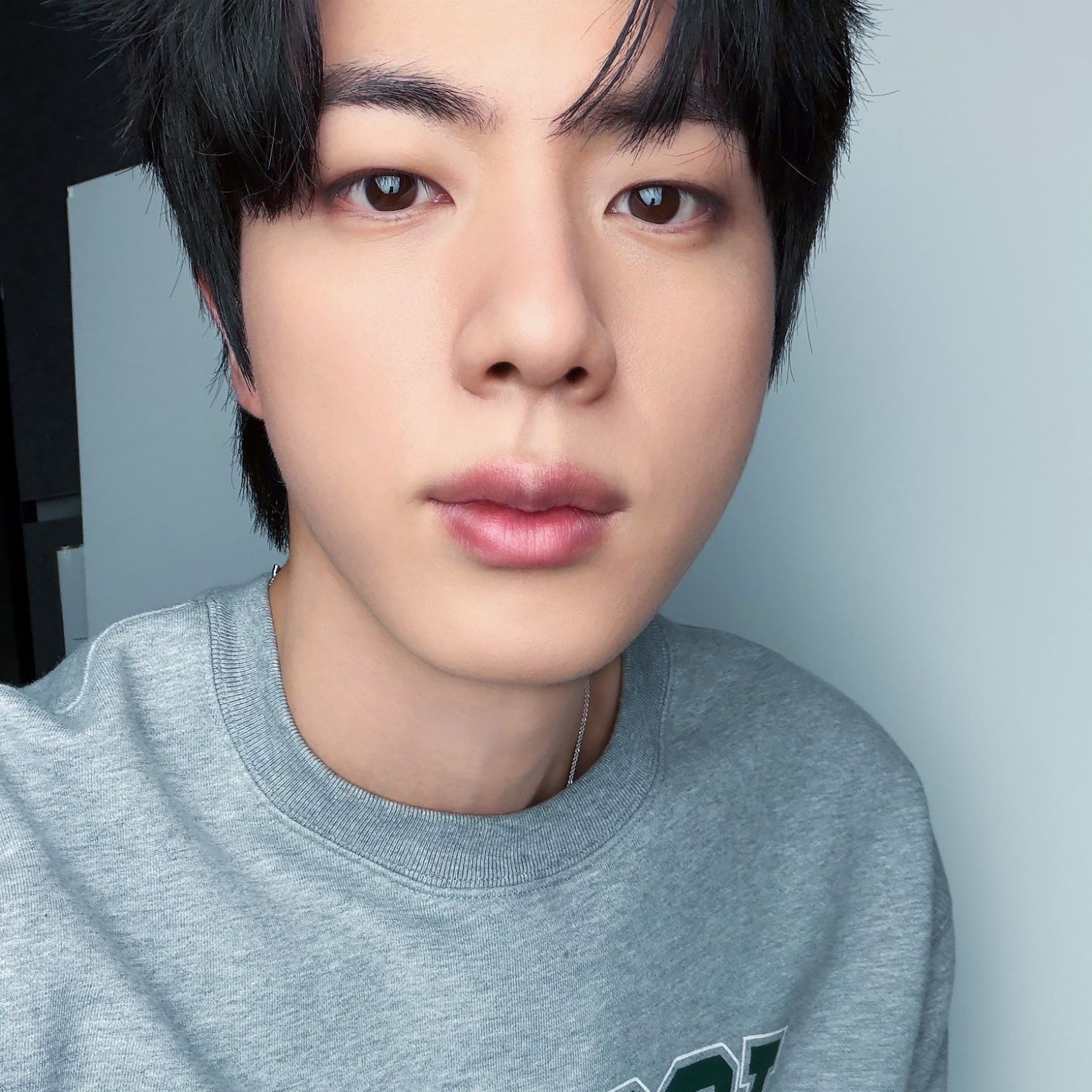 진 (방탄소년단) 팬이 찍은 순간