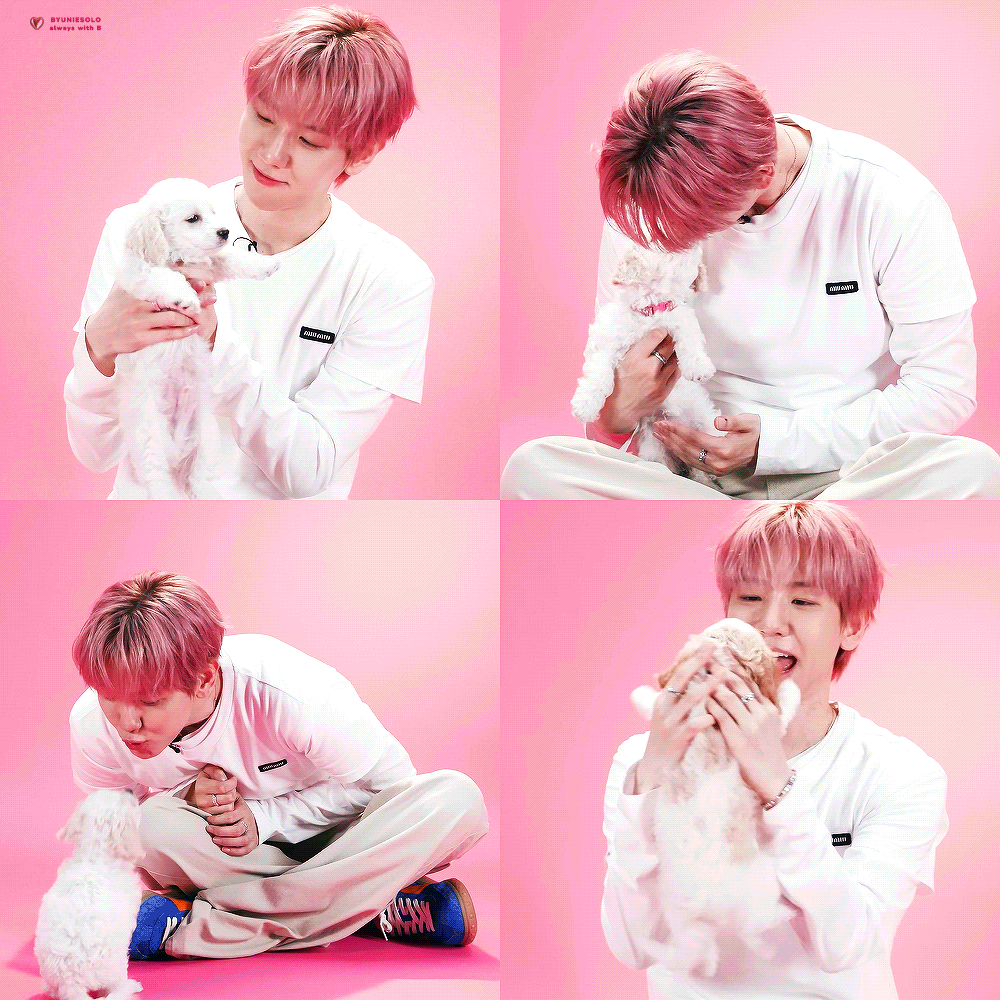 Latest photo of Baekhyun (EXO)
