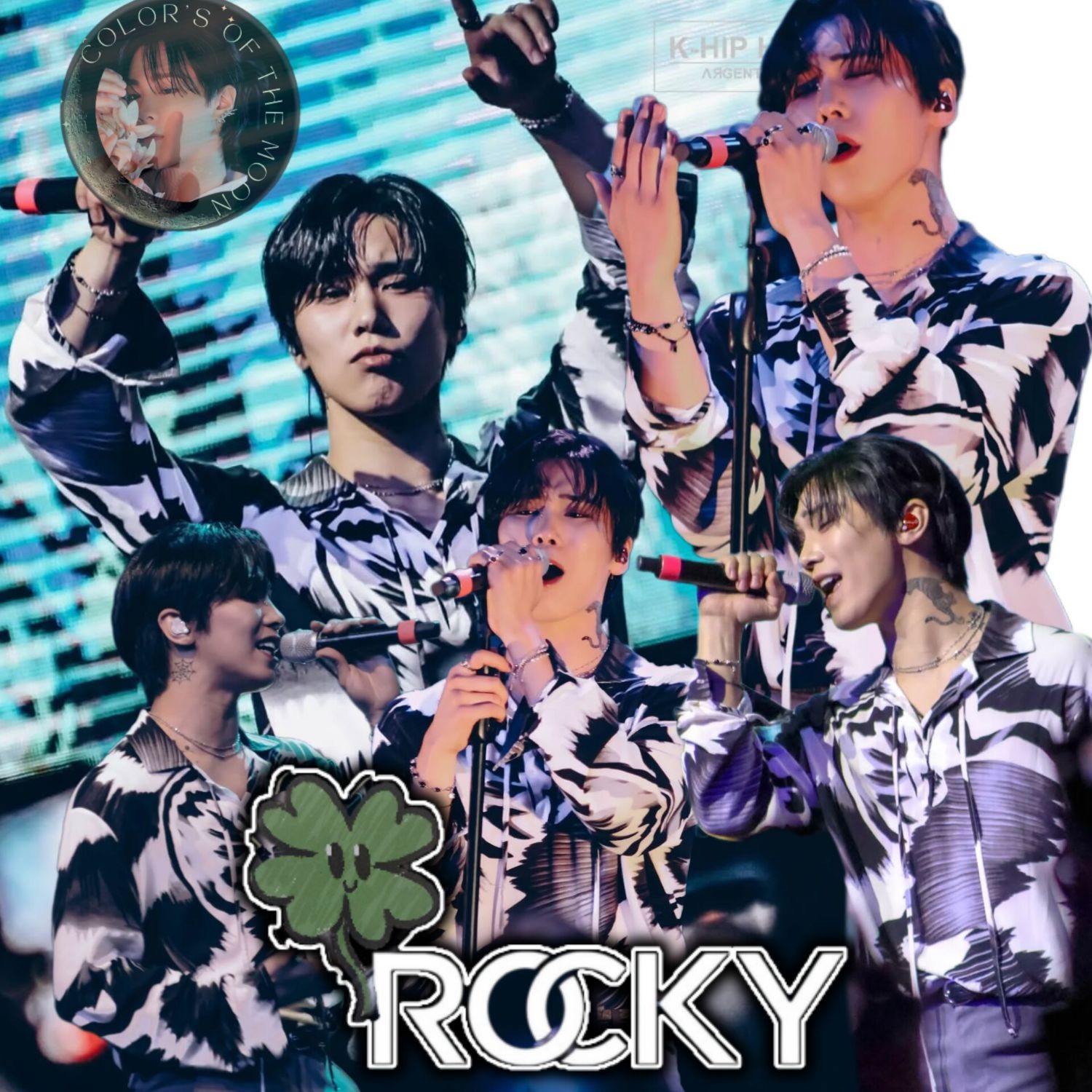 Recent activity shot of Rocky